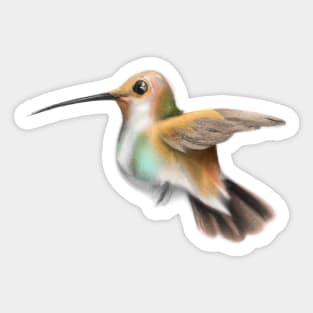 Cute Hummingbird Drawing Sticker